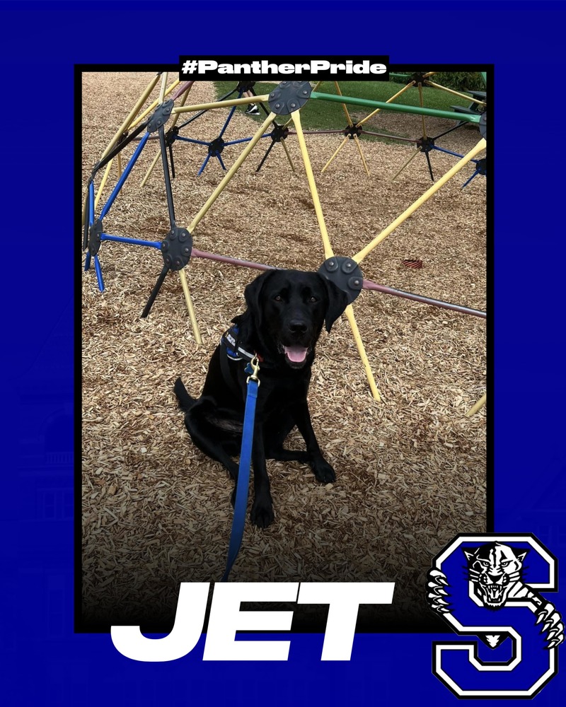 Jet